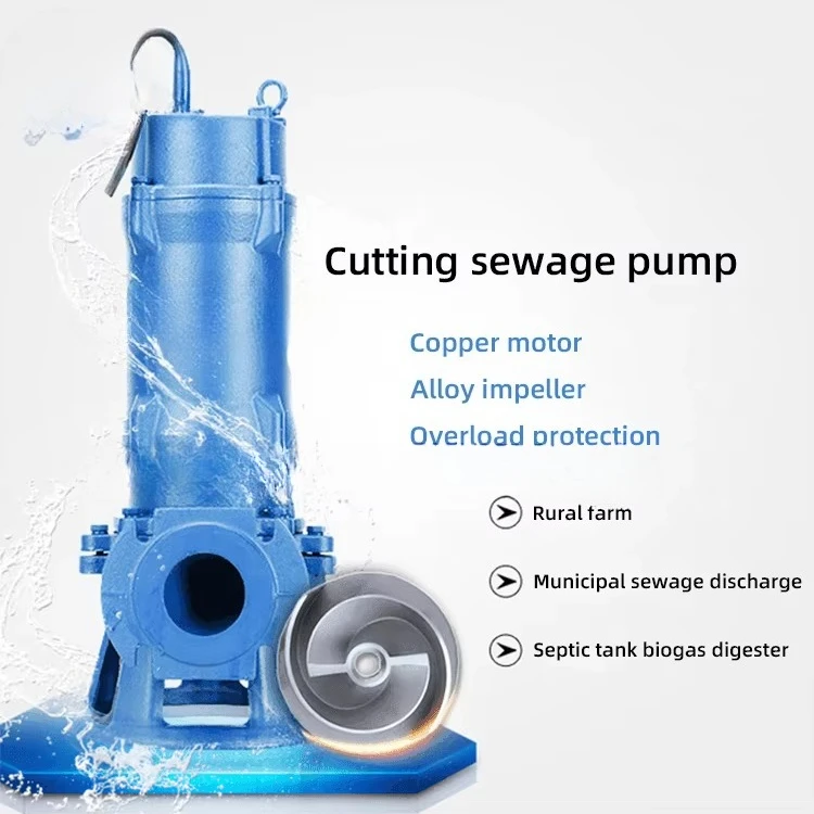 ปั๊มน้ำเสียแบบจุ่มใต้น้ำชนิดยก - Submersible Pump Sewage บทวิจารณ์และราคา