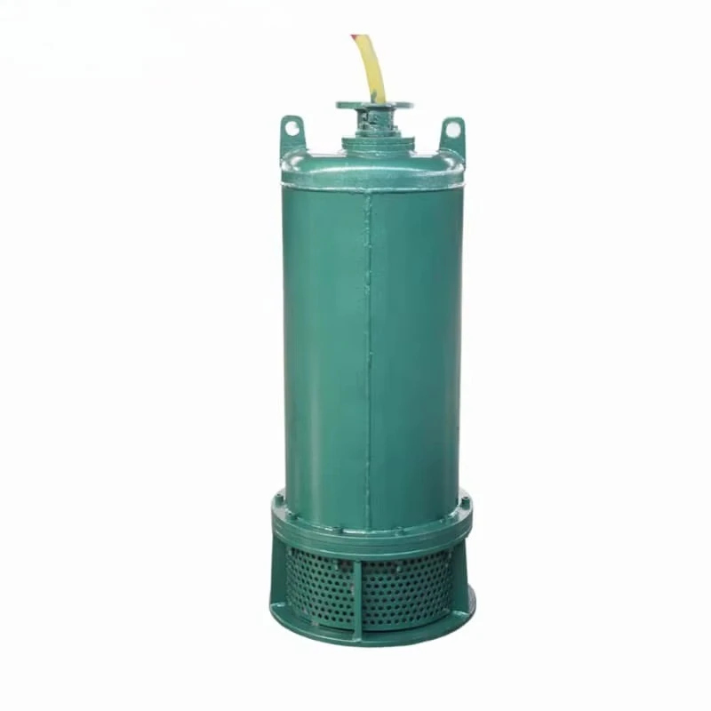 ปั๊มน้ำเสียแบบแรงเหวี่ยงเหล็กห - Submersible Pump Sewage บทวิจารณ์และราคา